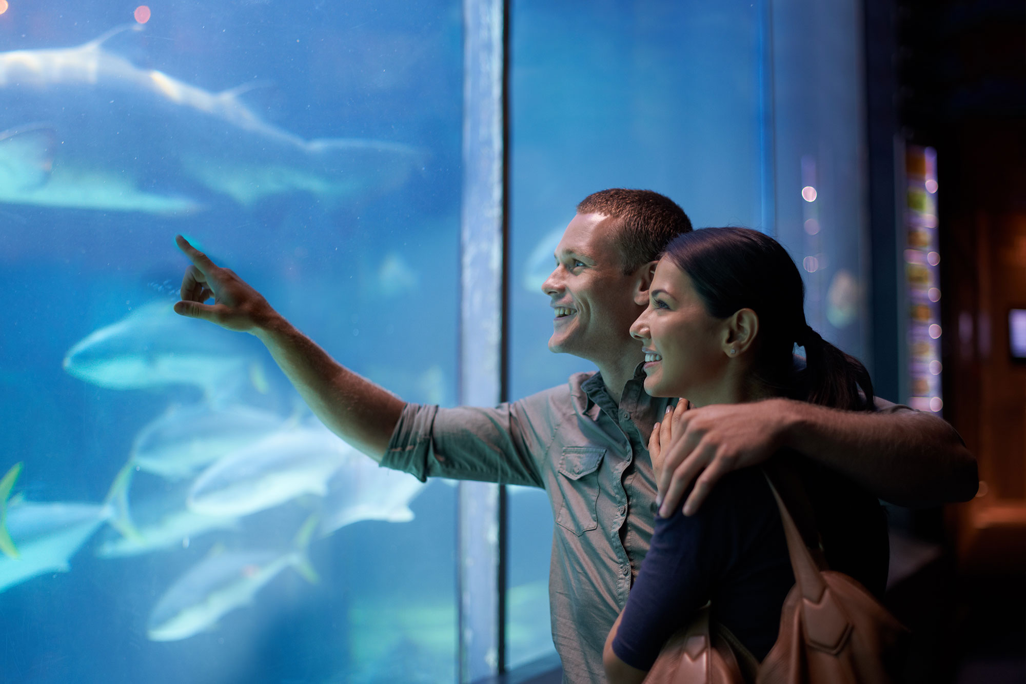 A couple observes a shark tank at an aquarium 